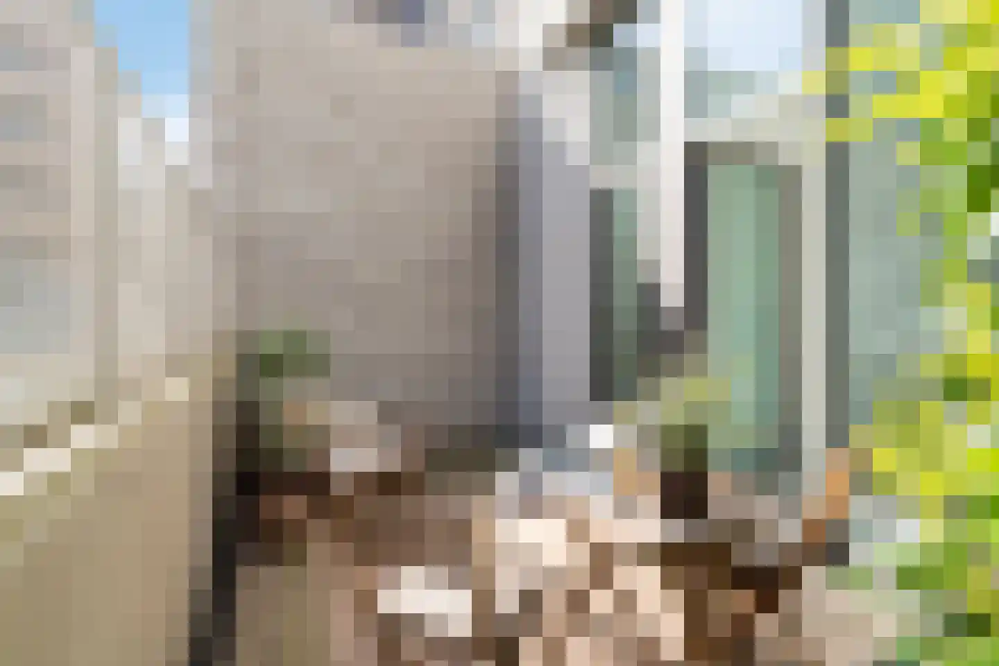Nieuwe Gracht 105 Delft thumbnail 37