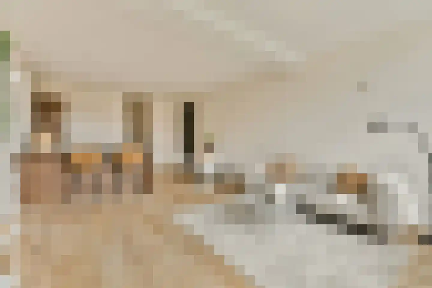 Nieuwe Gracht 11 A Haarlem thumbnail 6