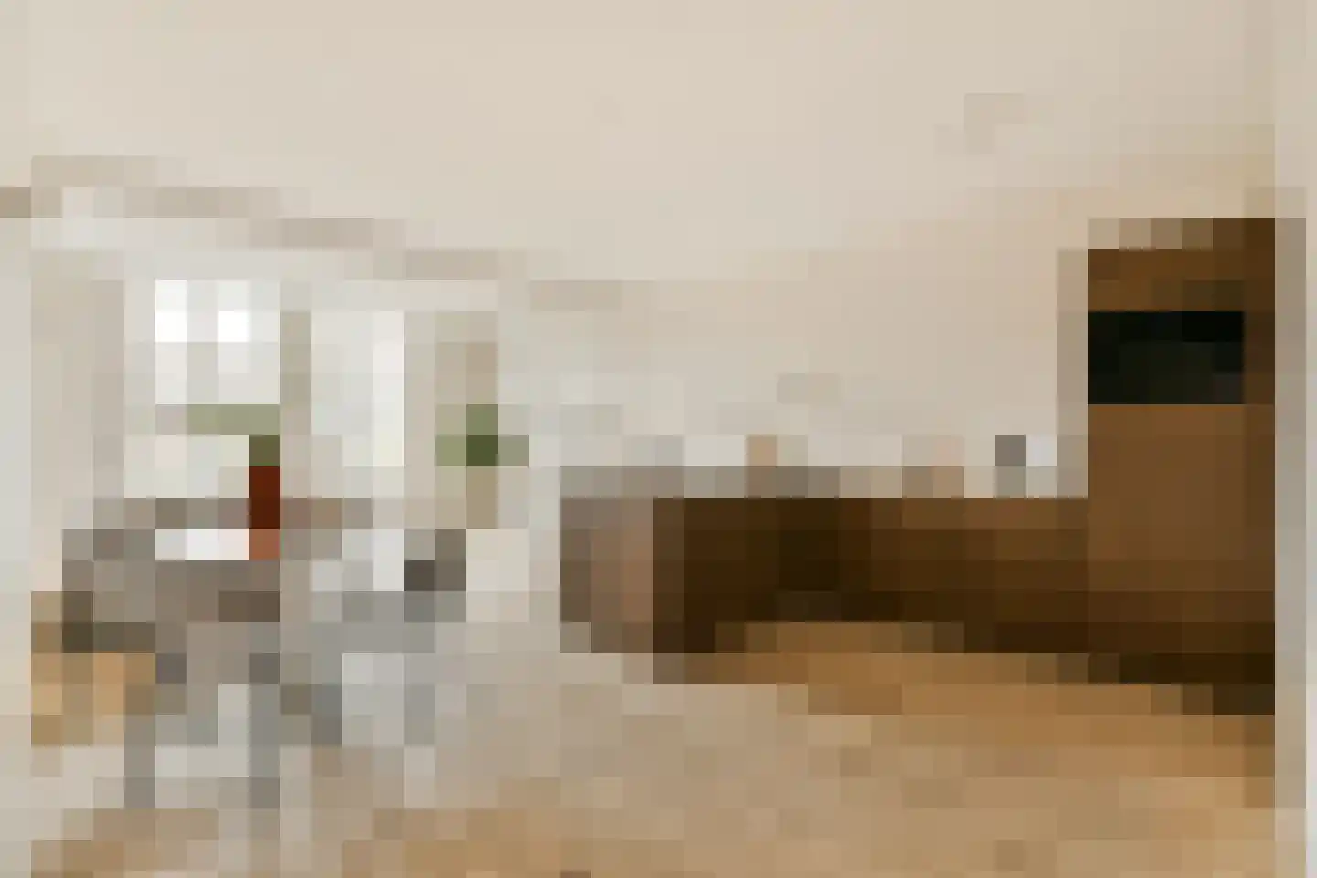 Nieuwe Gracht 11 A Haarlem thumbnail 7