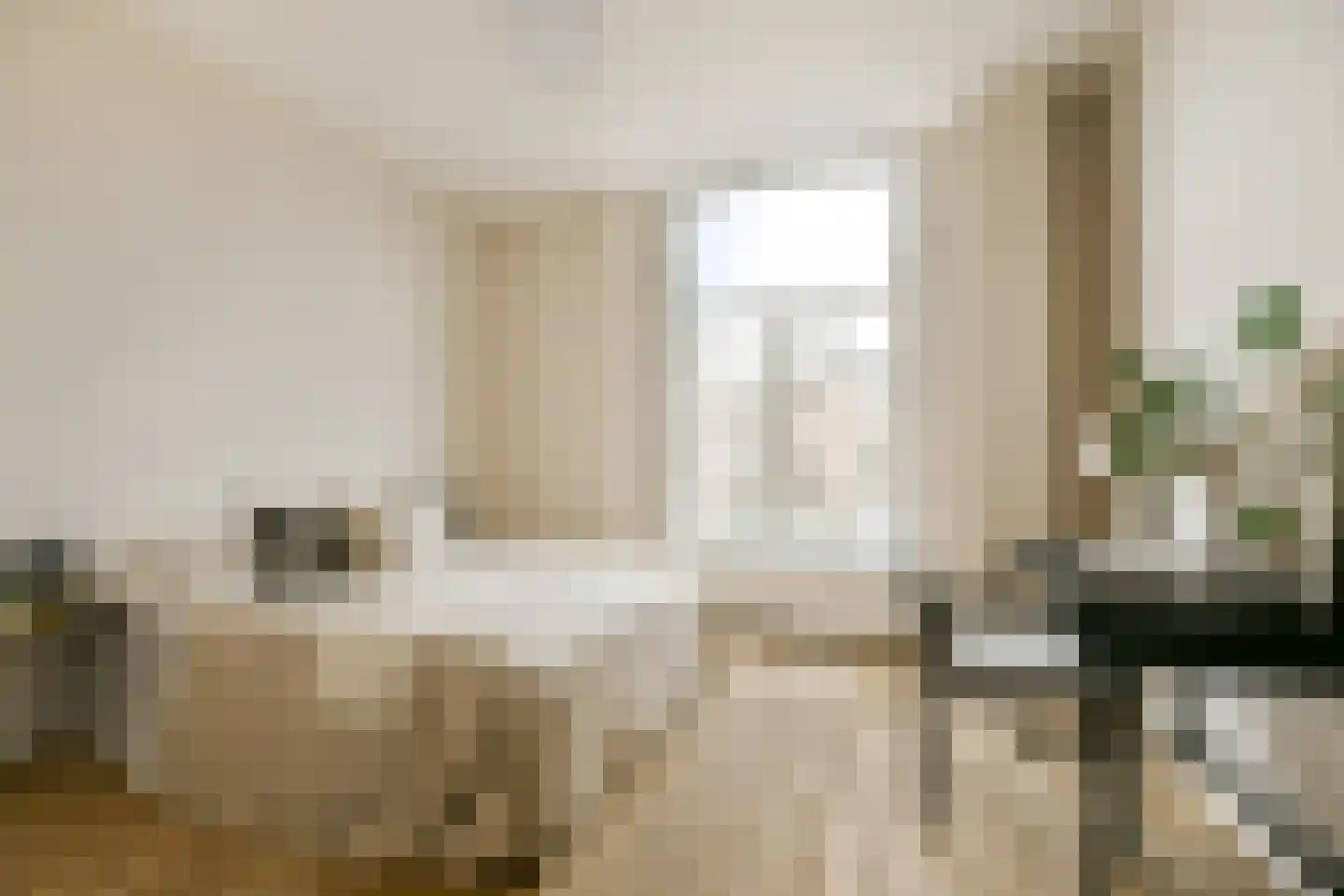 Nieuwe Gracht 11 A Haarlem thumbnail 9