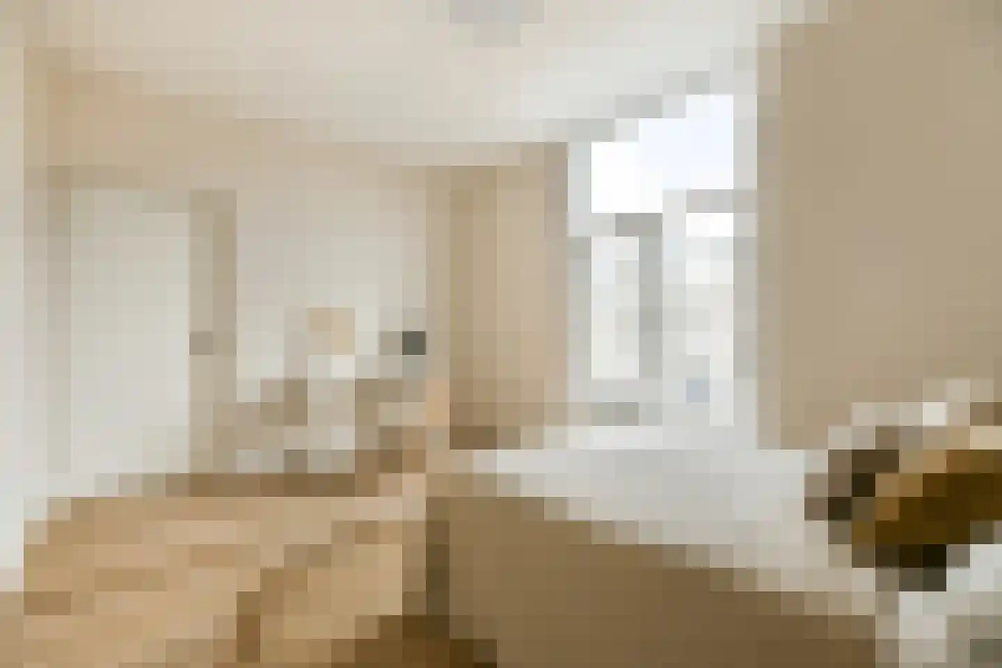 Nieuwe Gracht 11 B Haarlem thumbnail 12