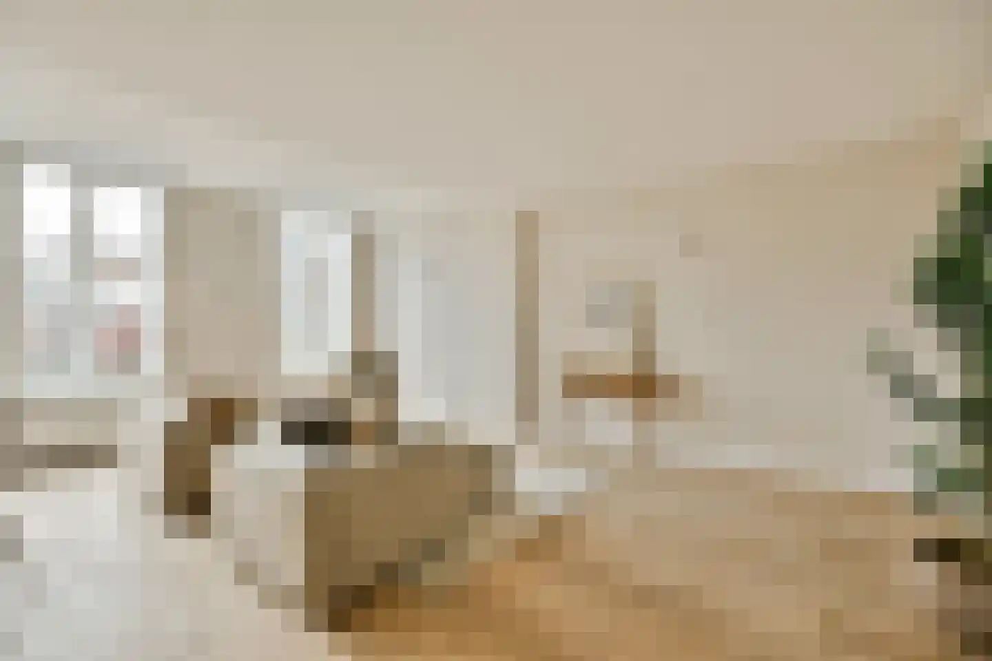 Nieuwe Gracht 11 B Haarlem thumbnail 6