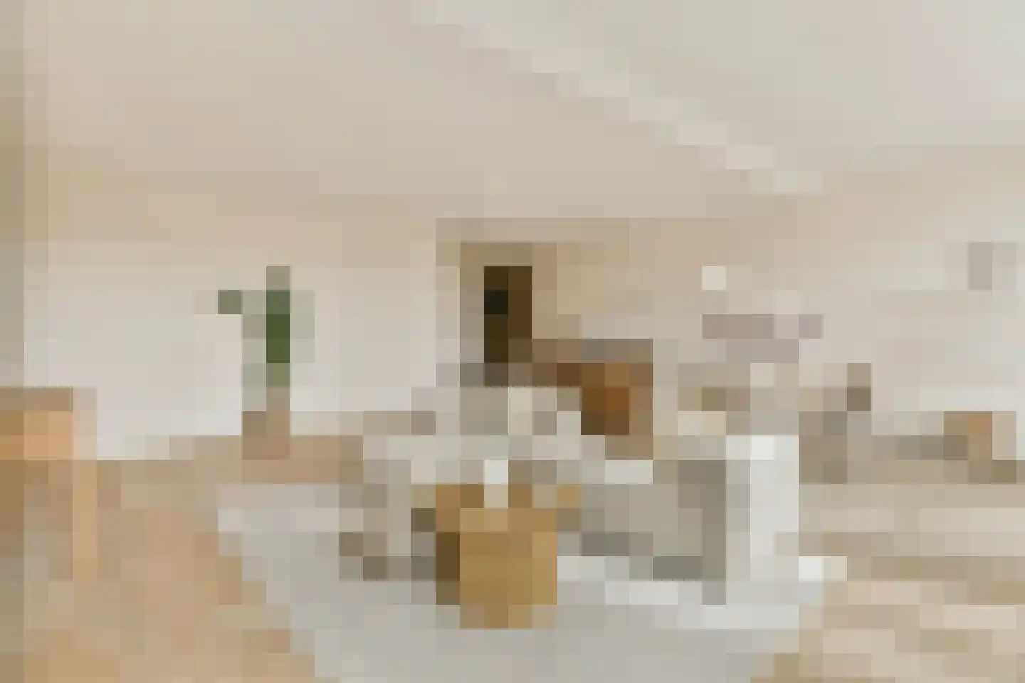 Nieuwe Gracht 11 B Haarlem thumbnail 8