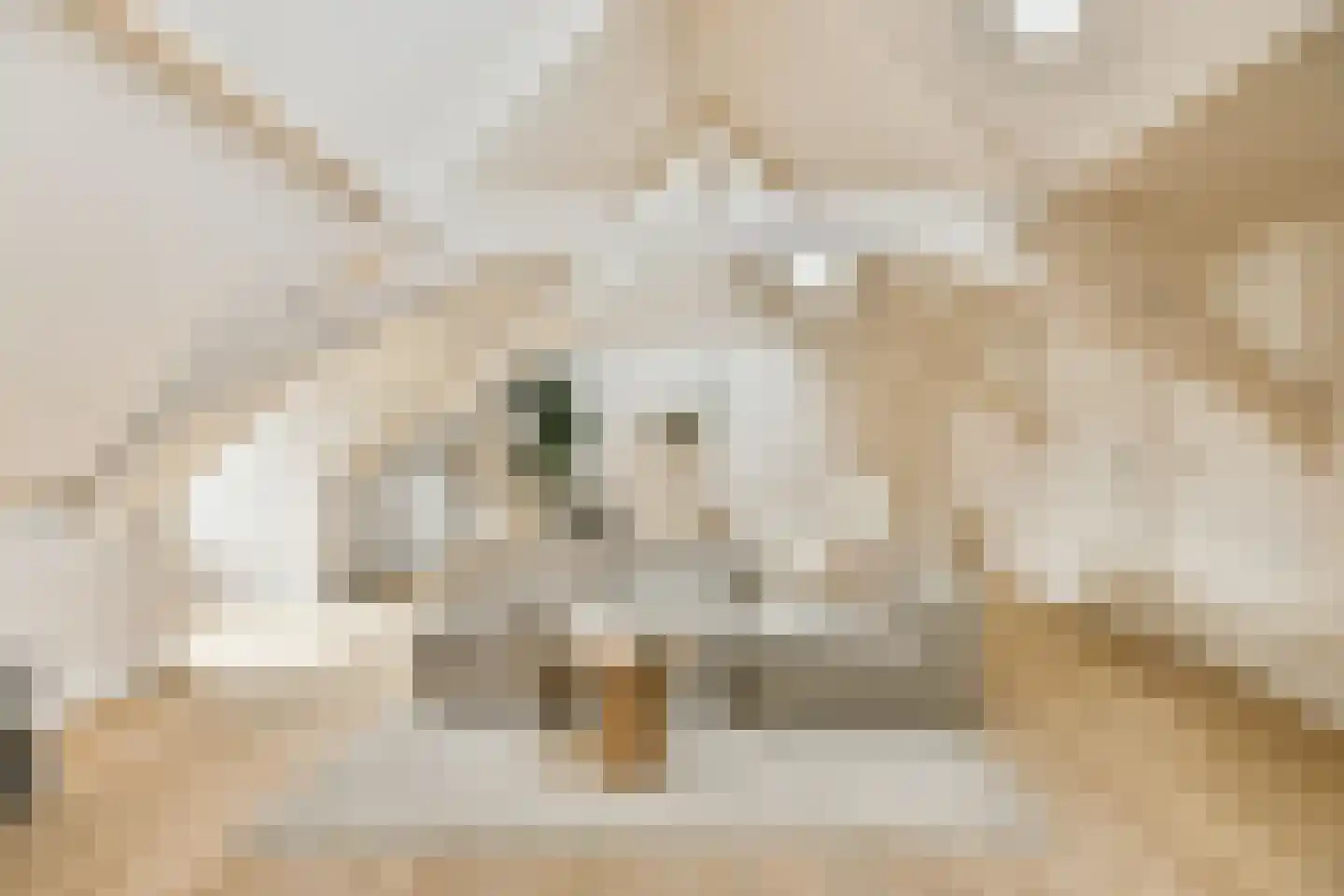 Nieuwe Gracht 11 C Haarlem thumbnail 6