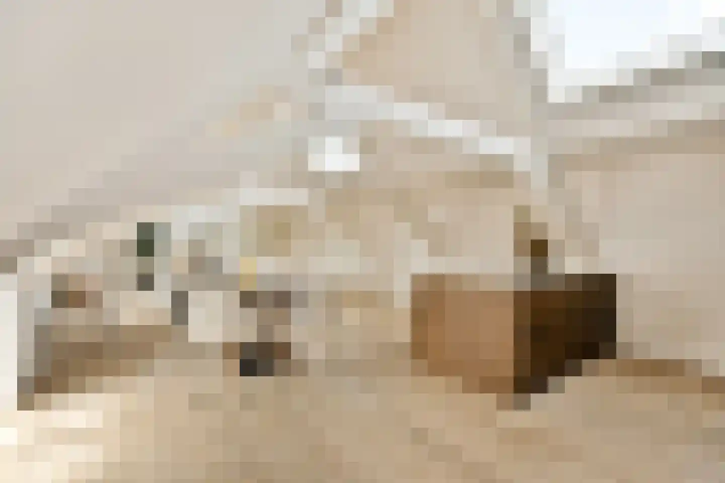 Nieuwe Gracht 11 C Haarlem thumbnail 9