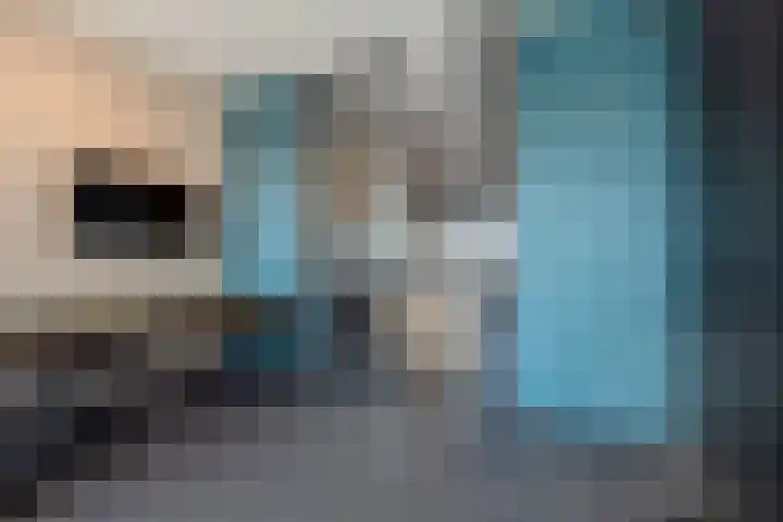 Nieuwe Gracht 119 Delft thumbnail 30