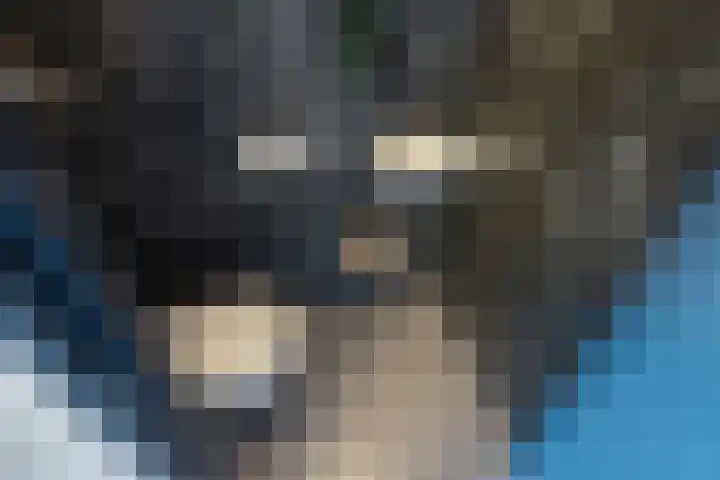Nieuwe Gracht 119 Delft thumbnail 40