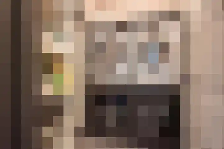Nieuwe Gracht 119 Delft thumbnail 41