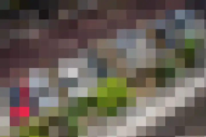 Nieuwe Gracht 119 Delft thumbnail 43