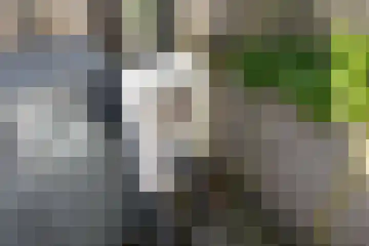 Nieuwe Gracht 119 Delft thumbnail 46
