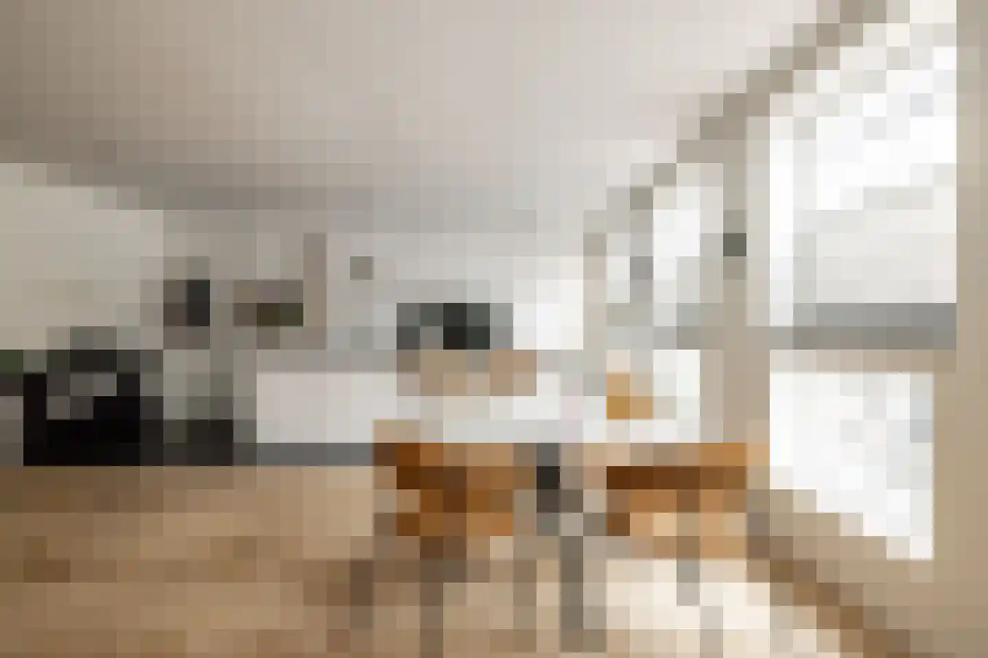 Nieuwe Gracht 17 D Haarlem thumbnail 12