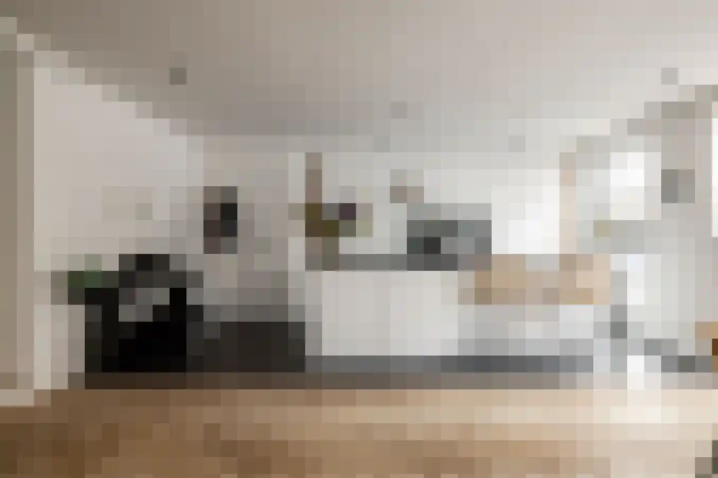 Nieuwe Gracht 17 D Haarlem thumbnail 13