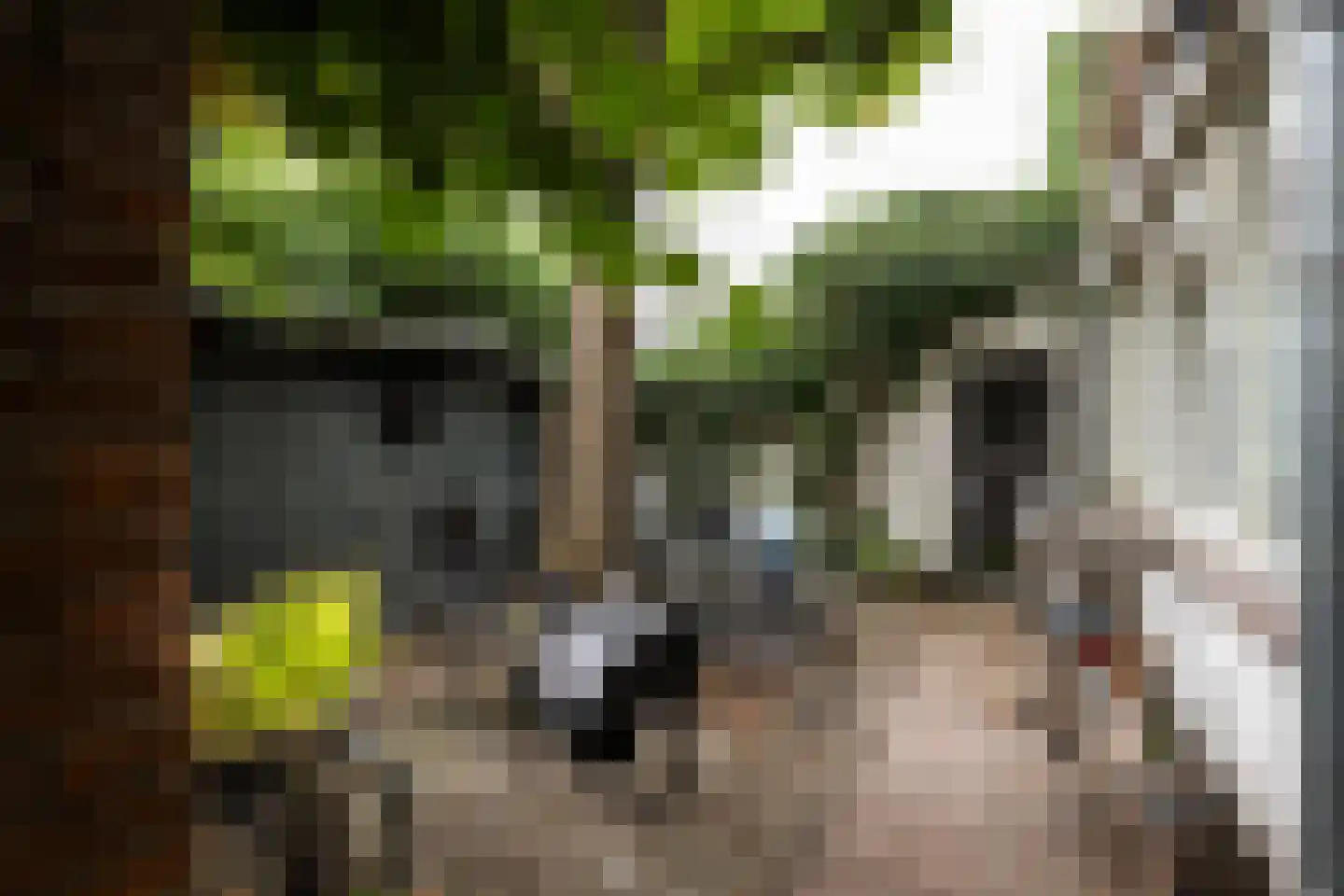 Nieuwe Gracht 17 D Haarlem thumbnail 33