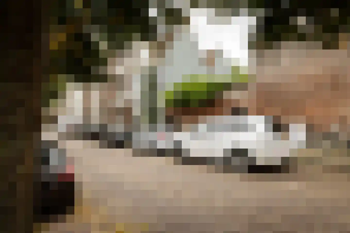 Nieuwe Gracht 17 D Haarlem thumbnail 34
