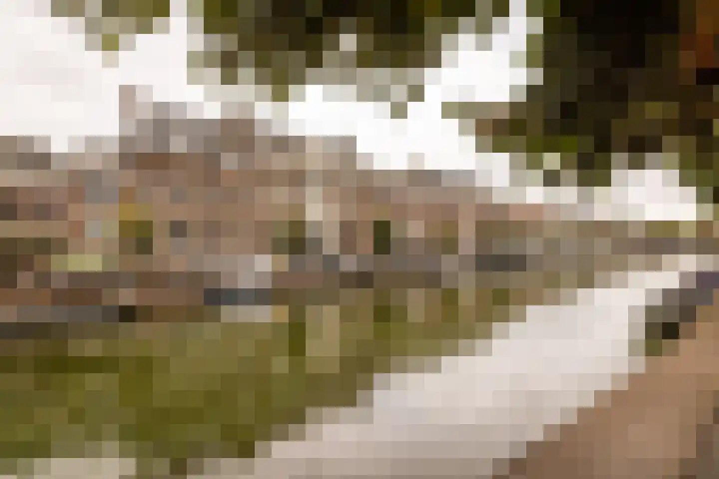 Nieuwe Gracht 17 D Haarlem thumbnail 35