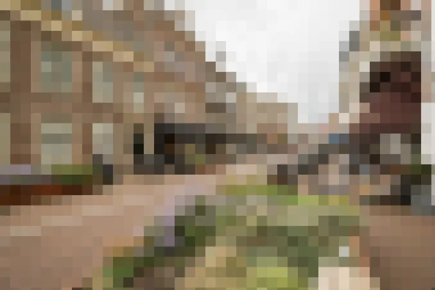 Nieuwe Gracht 17 D Haarlem thumbnail 38