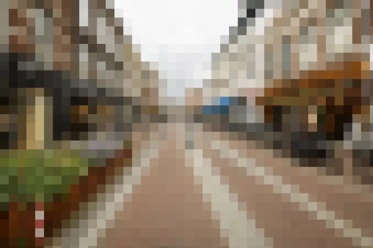 Nieuwe Gracht 17 D Haarlem thumbnail 40