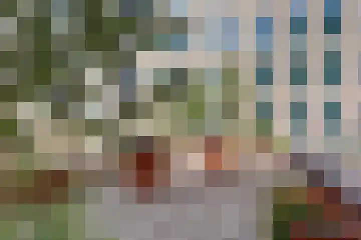 Nieuwe Gracht 17 Delft thumbnail 29