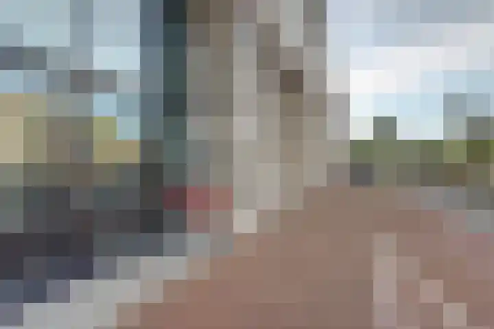 Nieuwe Gracht 17 Delft thumbnail 30