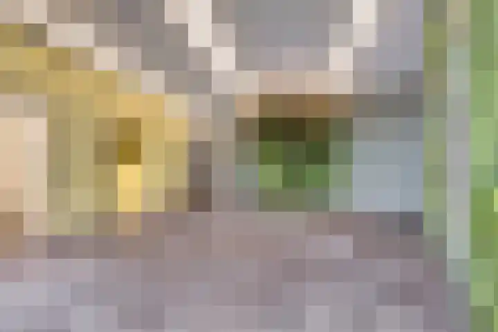 Nieuwe Gracht 17 Delft thumbnail 7