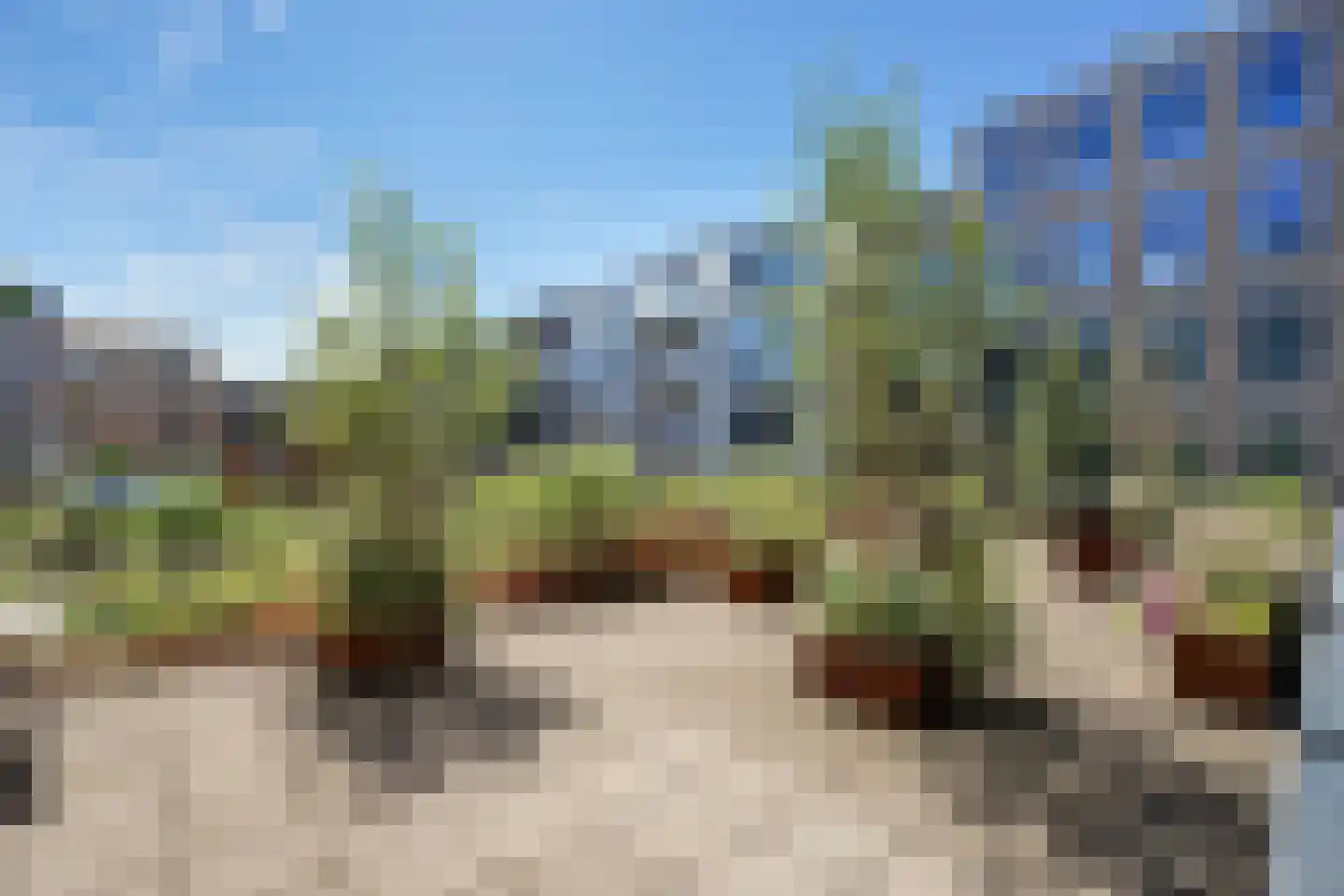 Nieuwe Gracht 19 Delft thumbnail 25