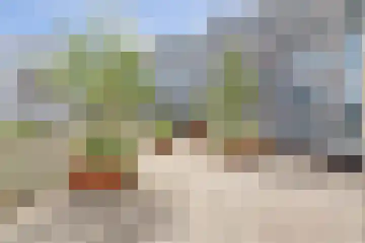 Nieuwe Gracht 21 Delft thumbnail 32