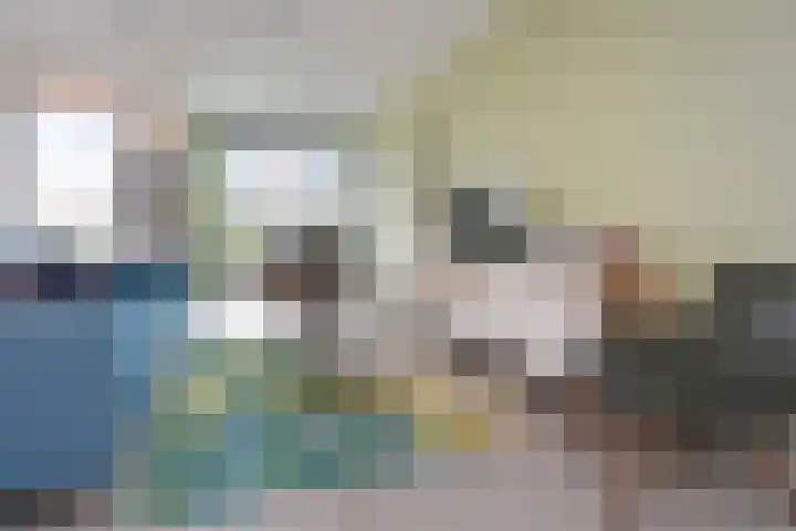 Nieuwe Gracht 243 Delft thumbnail 12