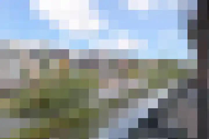 Nieuwe Gracht 243 Delft thumbnail 31