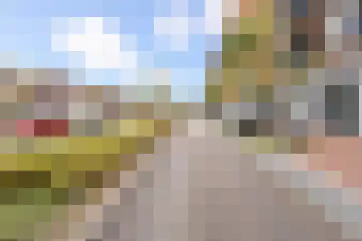 Nieuwe Gracht 243 Delft thumbnail 32