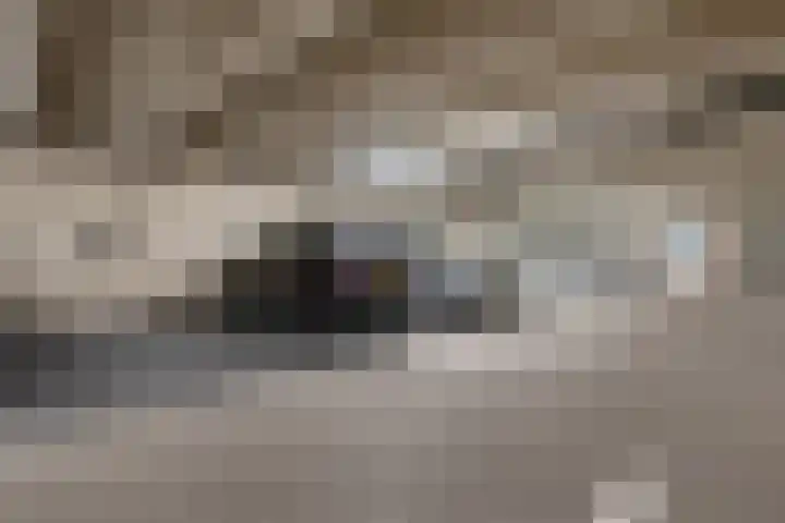Nieuwe Gracht 257 Delft thumbnail 34
