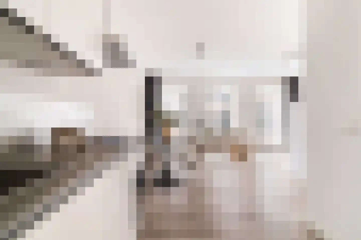 Nieuwe Gracht 39 Delft thumbnail 22