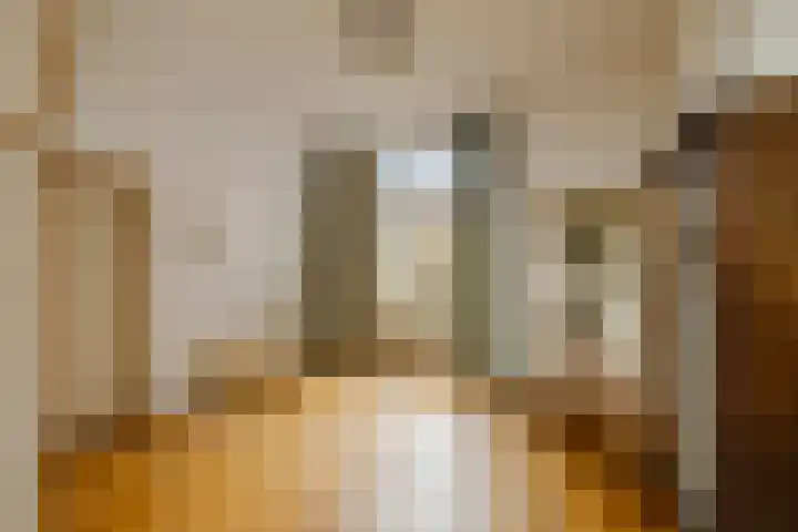 Nieuwe Gracht 46 Haarlem thumbnail 11