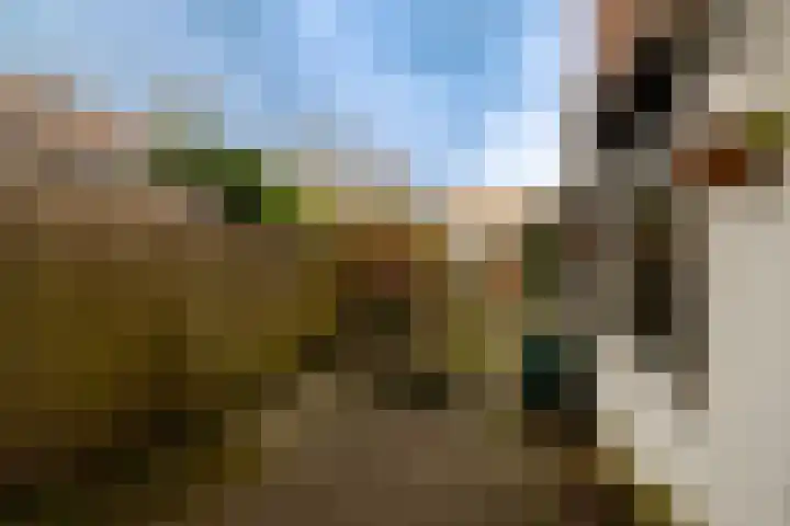 Nieuwe Gracht 46 Haarlem thumbnail 16