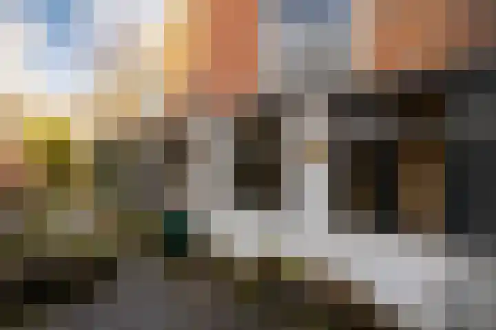 Nieuwe Gracht 46 Haarlem thumbnail 18