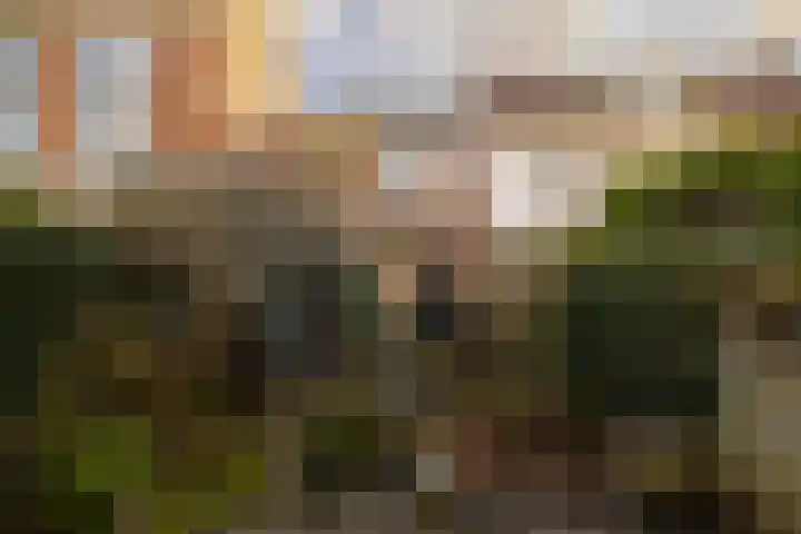 Nieuwe Gracht 46 Haarlem thumbnail 20