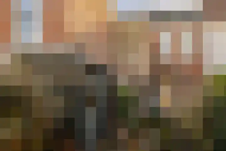 Nieuwe Gracht 46 Haarlem thumbnail 21