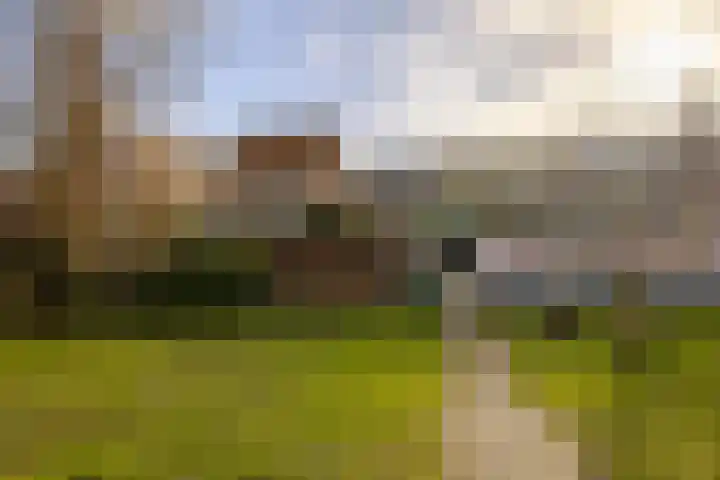 Nieuwe Gracht 46 Haarlem thumbnail 22