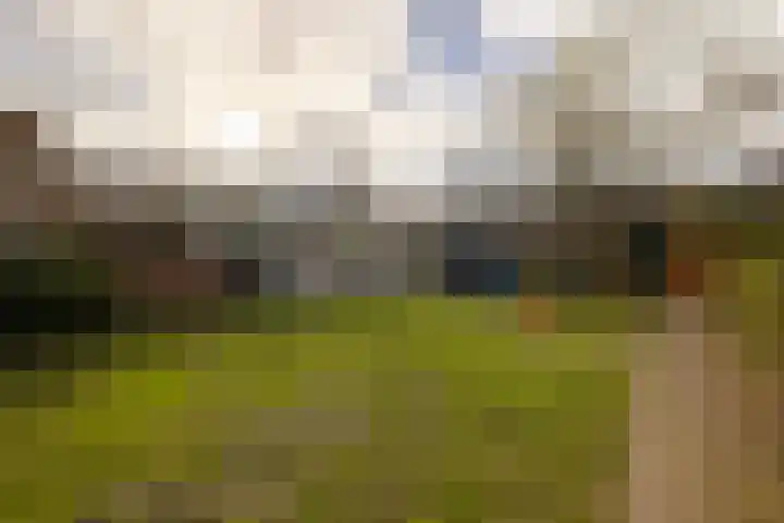 Nieuwe Gracht 46 Haarlem thumbnail 23