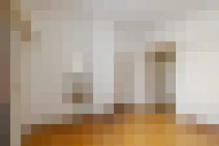 Nieuwe Gracht 46 Haarlem thumbnail 27
