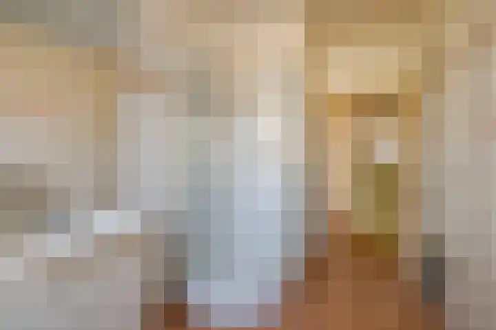 Nieuwe Gracht 46 Haarlem thumbnail 31
