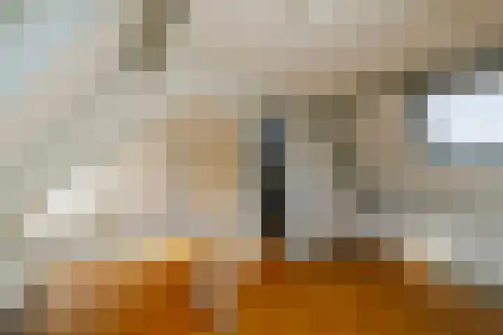 Nieuwe Gracht 46 Haarlem thumbnail 34