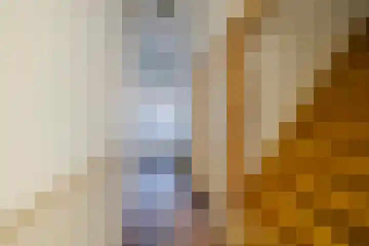Nieuwe Gracht 46 Haarlem thumbnail 36