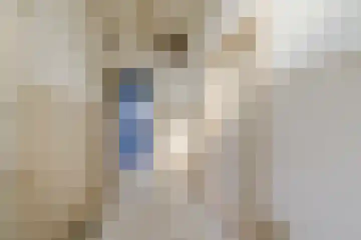 Nieuwe Gracht 46 Haarlem thumbnail 37