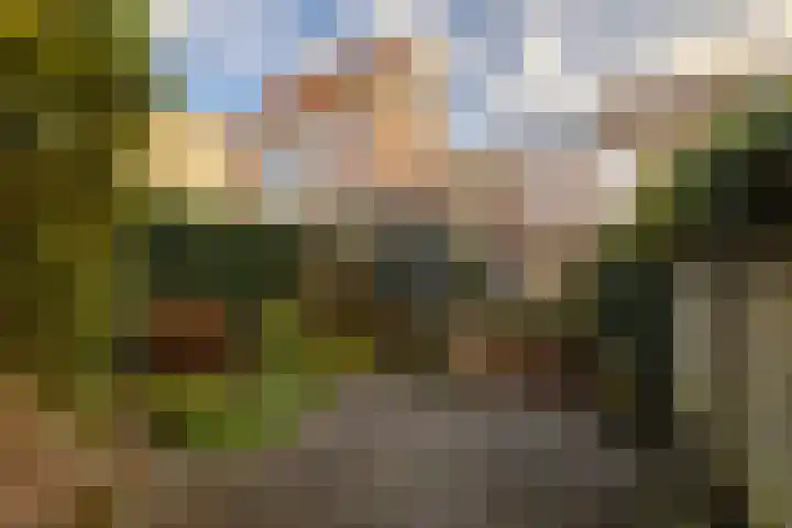 Nieuwe Gracht 46 Haarlem thumbnail 4