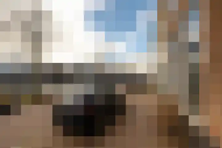 Nieuwe Gracht 46 Haarlem thumbnail 43
