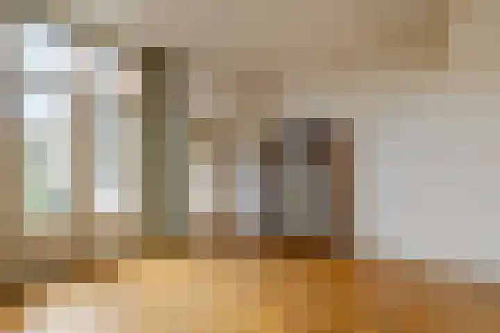 Nieuwe Gracht 46 Haarlem thumbnail 9
