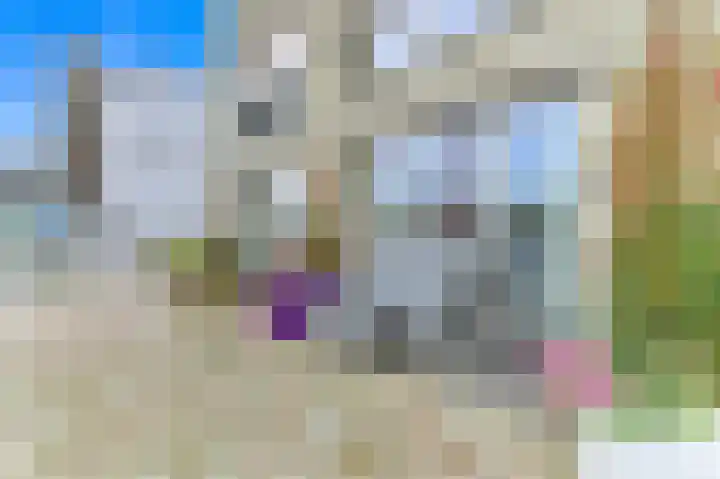 Nieuwe Gracht 553 Delft thumbnail 6