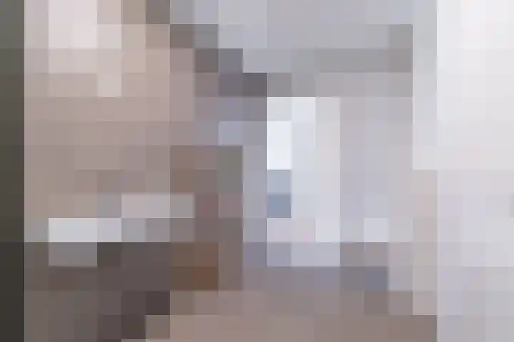 Nieuwe Gracht 555 Delft thumbnail 33