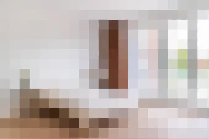 Nieuwe Gracht 555 Delft thumbnail 35