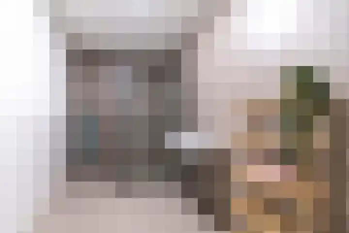 Nieuwe Gracht 555 Delft thumbnail 4